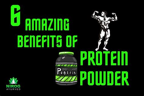 Image result for Protein Powder Benefits