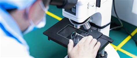 ISO 17025 Requirements for Food Testing Laboratories | The Food Analyst