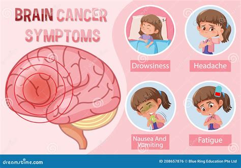 Medical Information on Brain Cancer Symptoms Stock Vector - Illustration of cerebellum ...