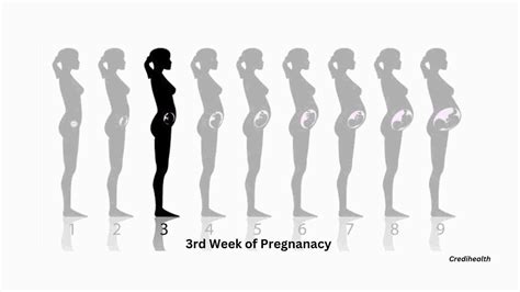 What Are The Symptoms of 3 Weeks Pregnancy? | Credihealth