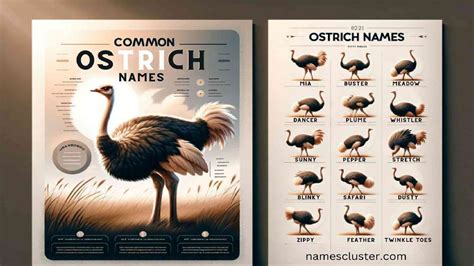 Funny Names For Ostrich