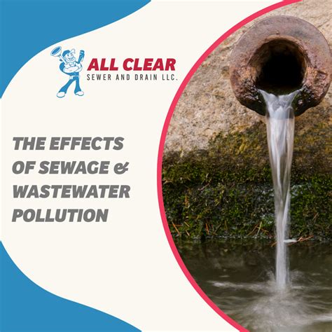 The Effects of Sewage & Wastewater Pollution | All Clear Sewer & Drain Cleaning - Charlotte, NC ...