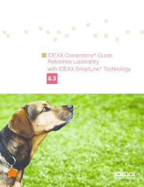 Image result for IDEXX Cornerstone Tutorial