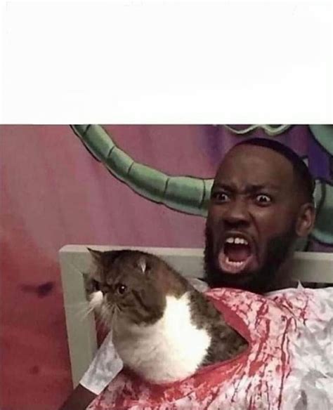 Alien cat Blank Template - Imgflip
