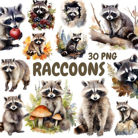 Watercolor Raccoons Clipart Bundle, Woodland Animal Clipart, Raccoon ...