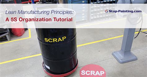 5S Tutorial 的图像结果