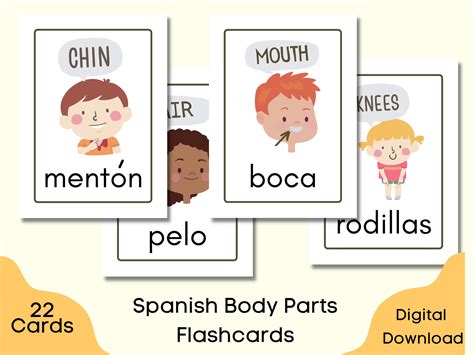 Spanish Body Parts For Kids