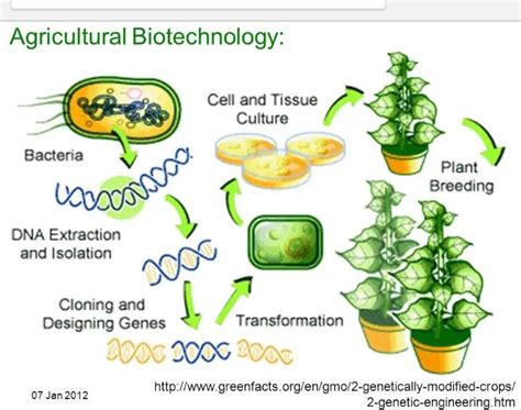 Biotechnology 的图像结果