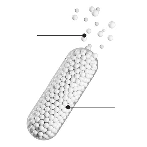 Slow Triple Magnesium Complex Capsules | Wellbeing Nutrition