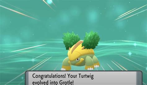 Image result for Onix Evolution Level Pokemon Sword