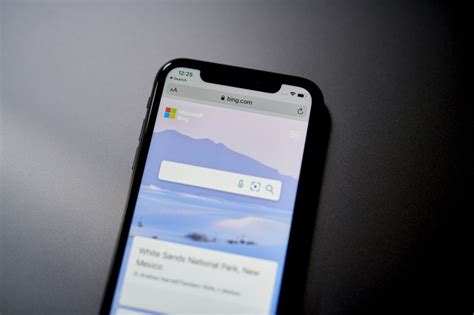 Mac iOS Bing 的图像结果