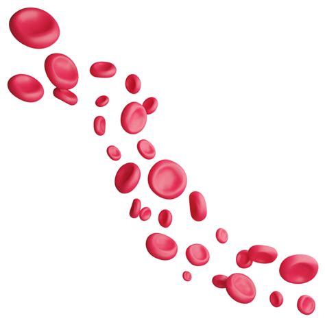 Red blood cells flowing through inside artery clipart flat design icon ...