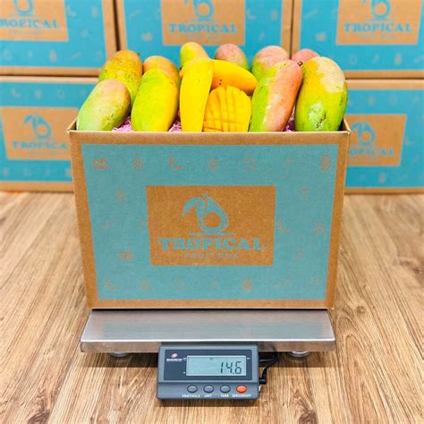 Mango Box 的图像结果