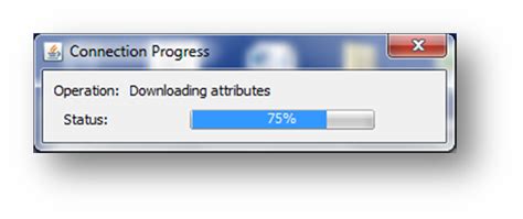 Local Connection Status 的图像结果
