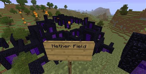Image result for Nether Grounds