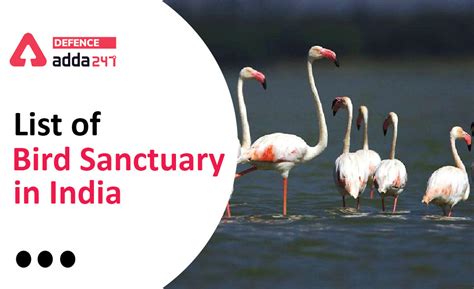 List of Bird Sanctuary of India