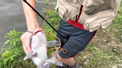 Image result for What Is a Stringer