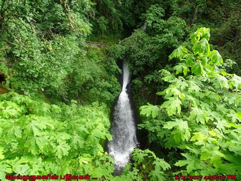 Shepperds Dell Falls - Exploring My Life