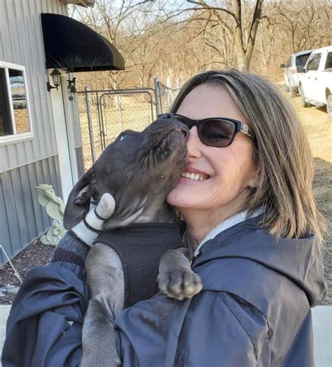 Volunteer With Us - Diamonds in the Ruff Rescue MO