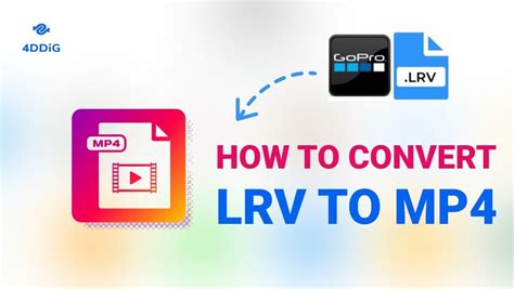 Image result for Convert LRV to MP4