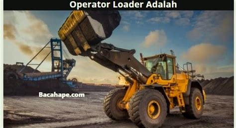 Loader Operator 的图像结果