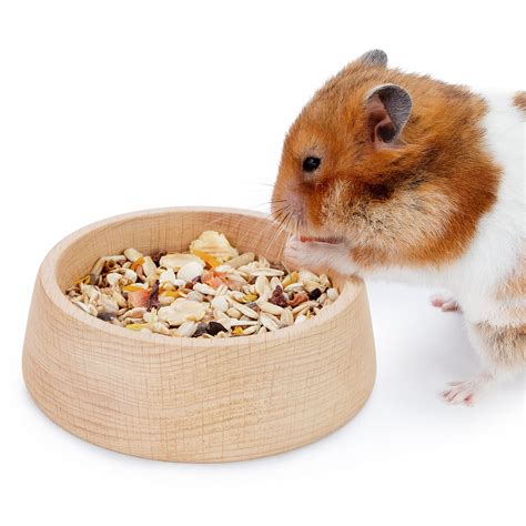 Niteangel Hamster Feeding Water Bowls Small Animal Glass, 47% OFF