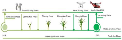 High Accuracy Pre-Harvest Sugarcane Yield Forecasting Model Utilizing ...