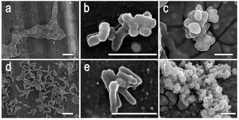 Gels | November 2025 - Browse Articles