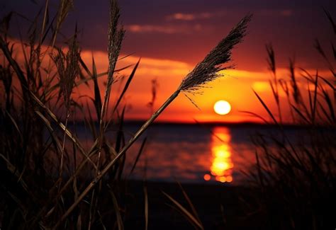 Photo 的图像结果