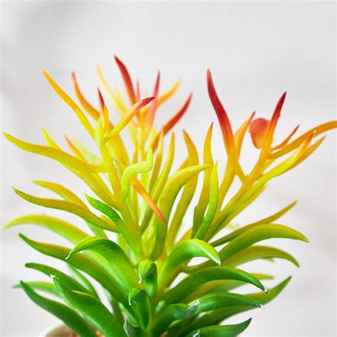Buy Fiesta Artificial Plant in Ceramic Pot from Home Centre at just INR ...