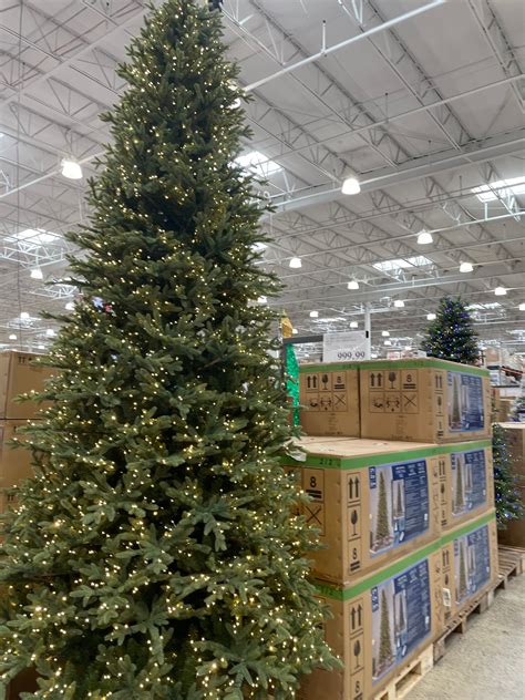 Qvc 9 Foot Christmas Tree at Hannah Belisario blog