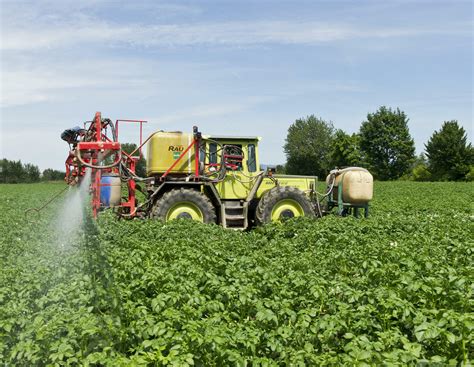 Krautfäule und Alternaria: So gelingt der Spritzstart | agrarheute.com