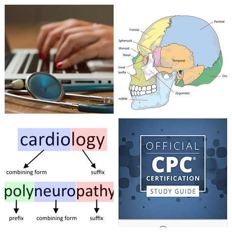 Image result for Certified Coder Exam