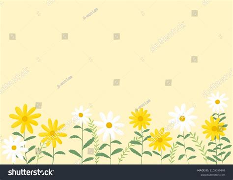 Yellow White Daisy Flowers Illustration Stock Illustration 2105359886 ...