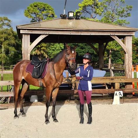 Image result for Beginner First Riding Lesson