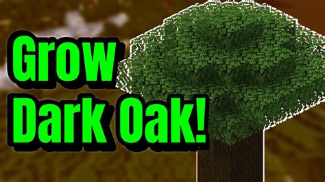 Giant Dark Oak Tree Minecraft 的图像结果