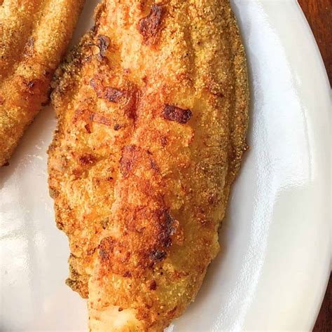 Cajun Catfish Air Fryer at Sandra Willis blog