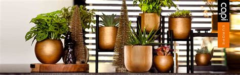 Small Indoor Planters – Sereno