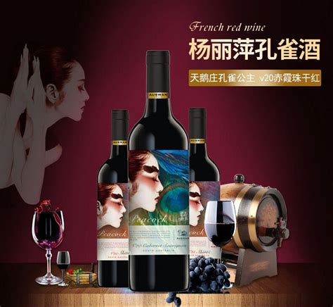 奔富Bin389批发 全系列报价 澳洲红酒专卖-食品商务网