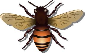 Image result for Alien Seal Liquid