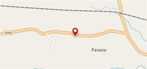 Dilli Wali Tikki, Parasia - Restaurant menu, prices and reviews