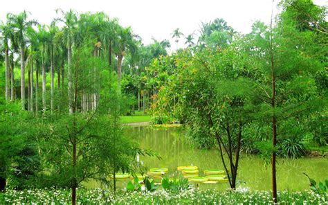 2022中科院西双版纳热带植物园游玩攻略,植物园建议一日游，这里很大...【去哪儿攻略】