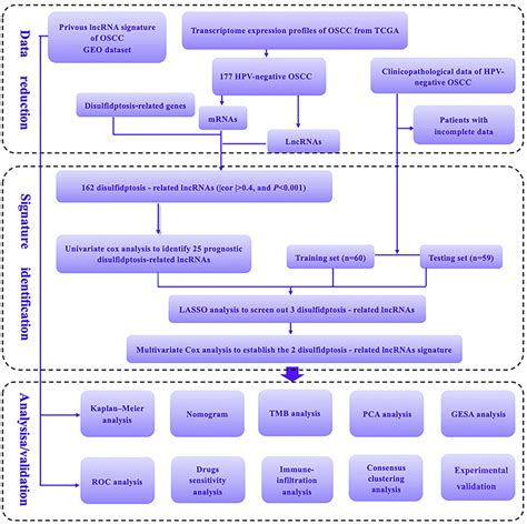 Image result for Work Process Study Chart
