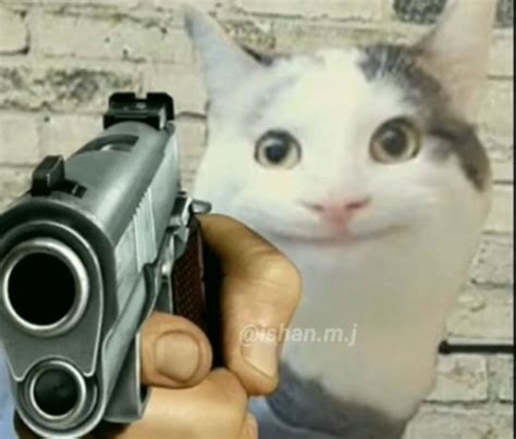 View 7 Pointing Cat With Gun Meme - reslonewall