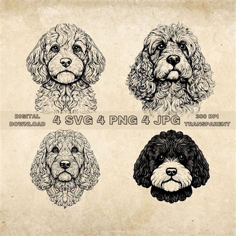 Image result for Hand Drawn Cockapoo