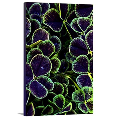 Buy Artzee Designs Home Decor Ready to Hang Great Gift Idea Modern ...