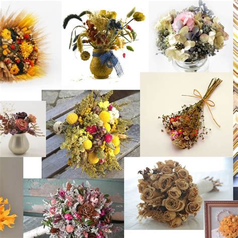 Drying bouquet and pressed flowers