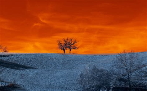 Download wallpaper 3840x2400 trees, snow, winter, nature, twilight 4k ...