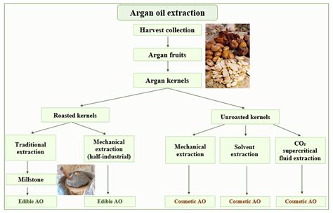 Quality Control and Authentication of Argan Oils: Application of ...