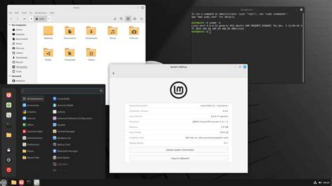 Image result for Linux Mint Visual